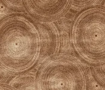 Stone circles